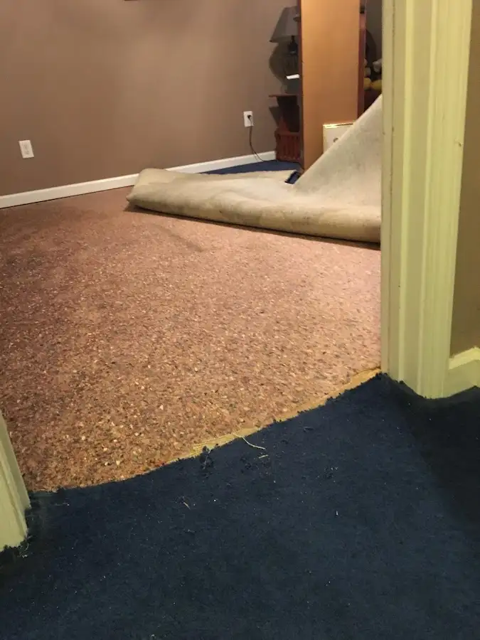 Carpet pad removal revealing water damage during Drying & Dehumidification in Lee's Summit