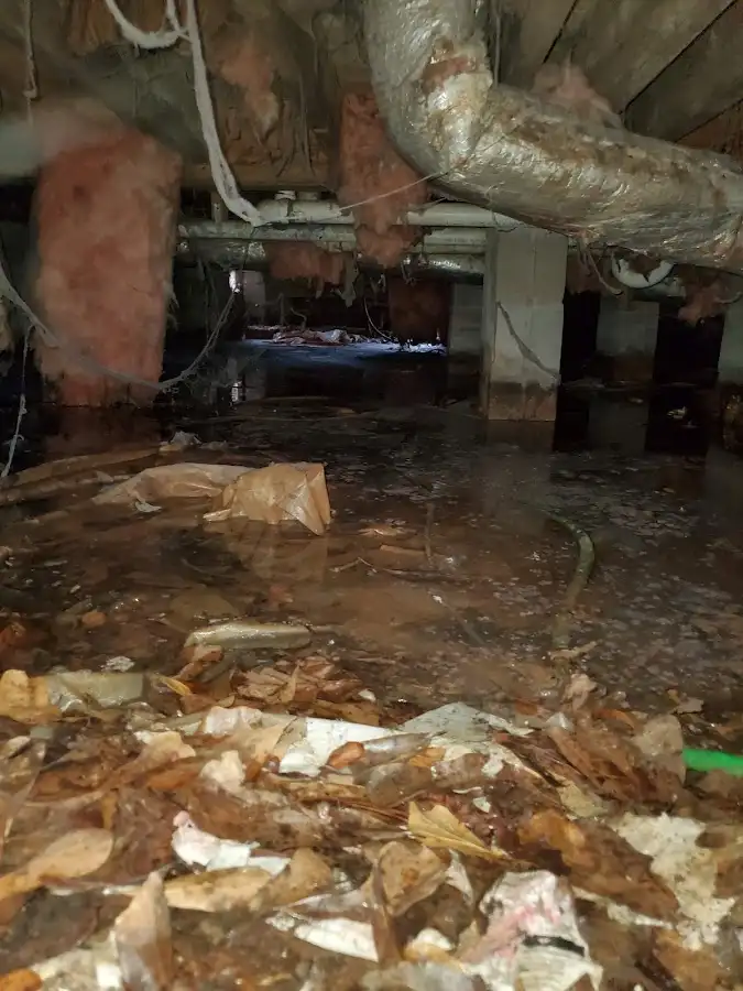 Crawl space flood assessment for Leak Detection & Repair in Lee's Summit