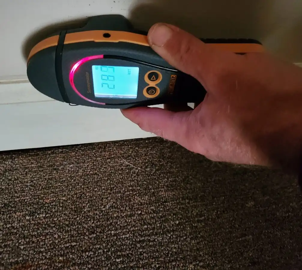 Moisture detection at baseboard during Sewage Cleanup & Sanitation in Lee's Summit